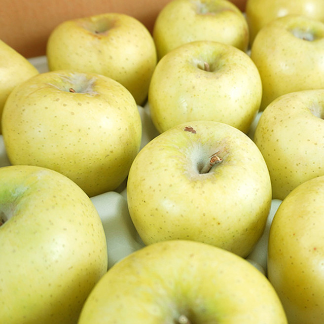 [미식한가] 새콤달콤 황금사과 시나노골드(가정용) 5kg / 과수선택, 가정용 5kg 29-33과, 1개