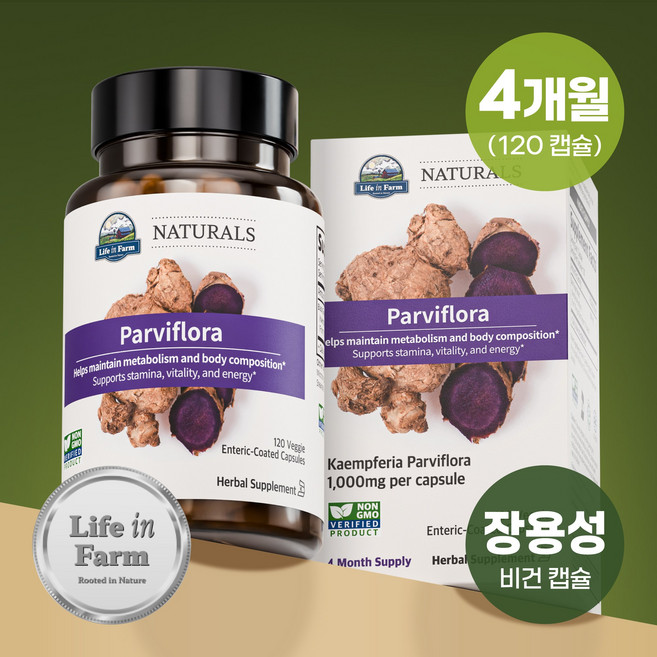 라이프인팜 파비플로라 흑생강 1000mg 장용성 120비건캡슐 4개월분 추출물, 1개, 120캡슐