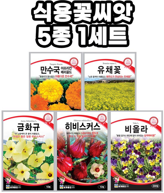 모칸도 식용꽃 씨앗 5종 모음 다년생 꽃씨앗 노지 월동 야생화 씨앗 봄 가을 파종 꽃씨, 1개
