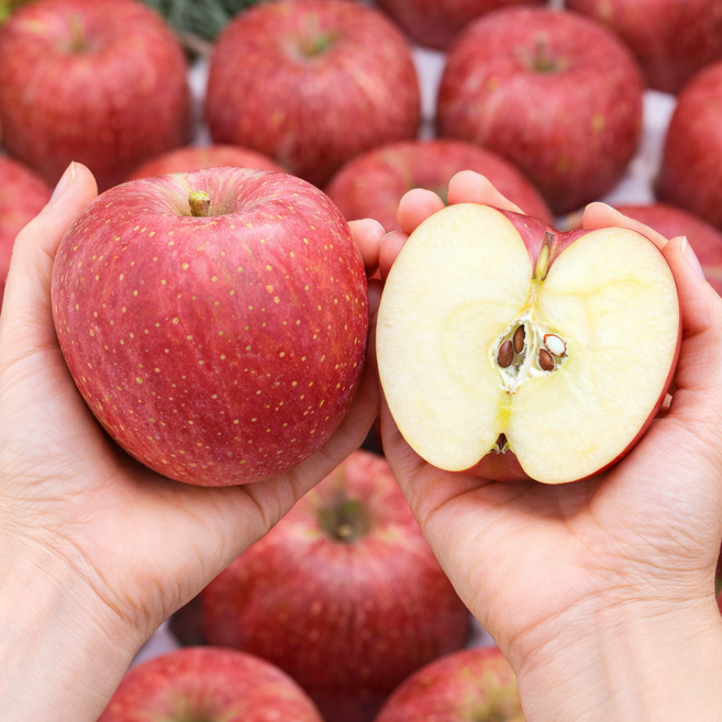 [원플러스원 1+1] 거창 지리산 맛땡이 꿀 사과 5KG (총 10키로 발송) 대과, 1박스, 10KG