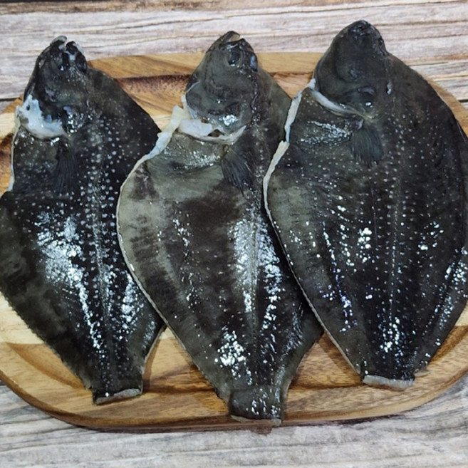 손질 자연산 봄 도다리 800g(2~4미), 1세트, 800g 내외 / 2~4미