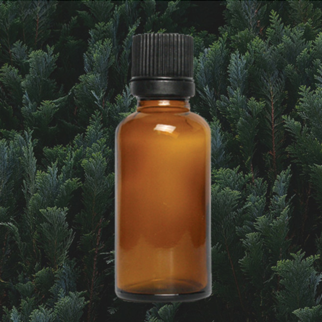 사이프러스 Cypress E.O /에센셜오일, [ 100ml ]