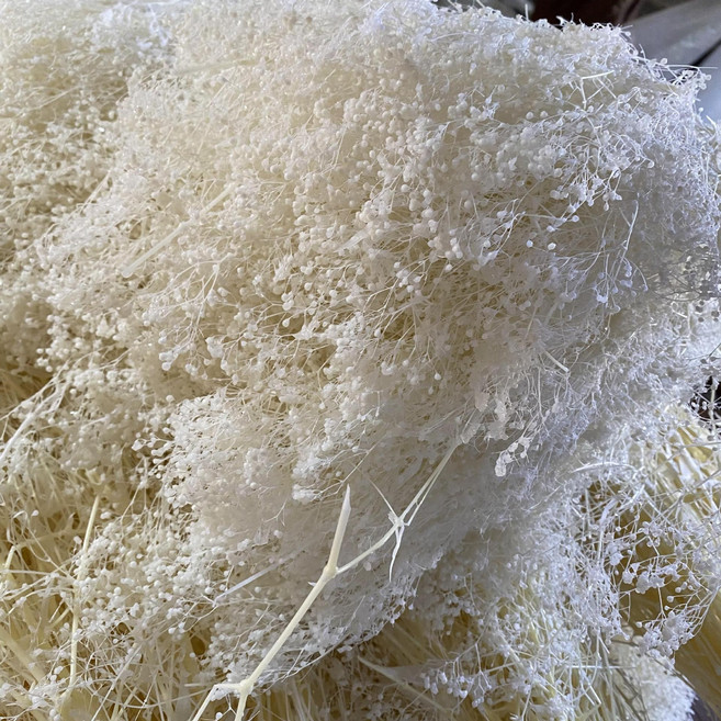 永生花小滿天星裝飾花束, 白色1kg