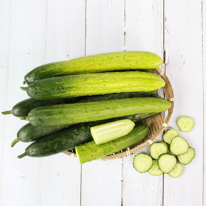 국내산 청오이/백오이 2kg 5kg, 백오이 2kg