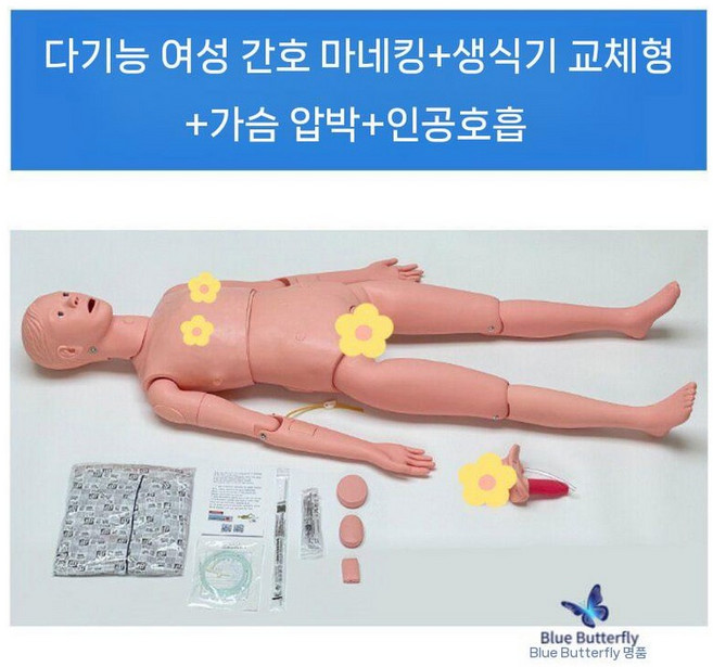10위 - 하임리히법 휴대용 교육 하임리히 세트 실습 기도 폐쇄 모델 키트, 8. 여성 인체세부 버전