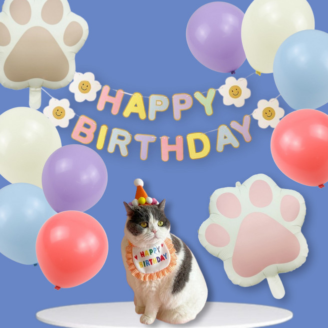 보담 소중한 반려견 반려묘 생일파티 용품 세트, 강아지, 파랑