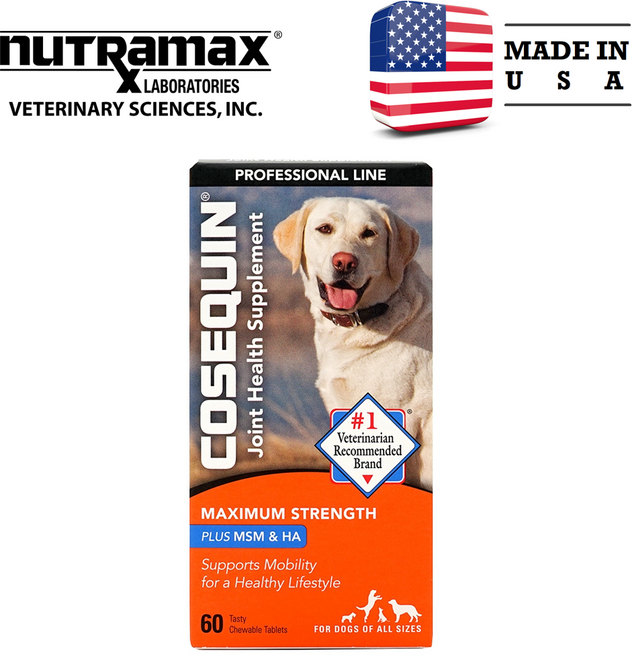 뉴트라맥스 코세퀸 조인트 헬스 반려견관절보조제 MSM 글루코사민 콘드로이친 히알루론산 60츄어블, 60정, 뼈/관절강화, 1개