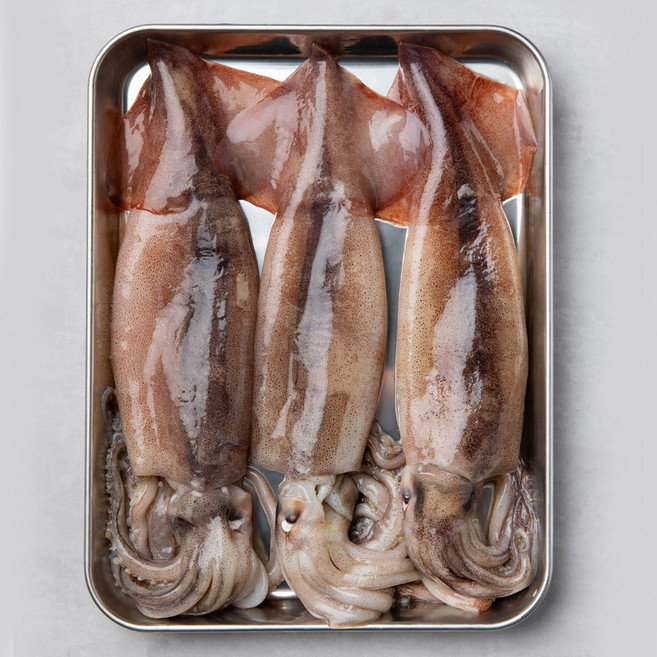 [산지직송] 신선 급냉 통찜 오징어, 1개, 500g(4~7미),