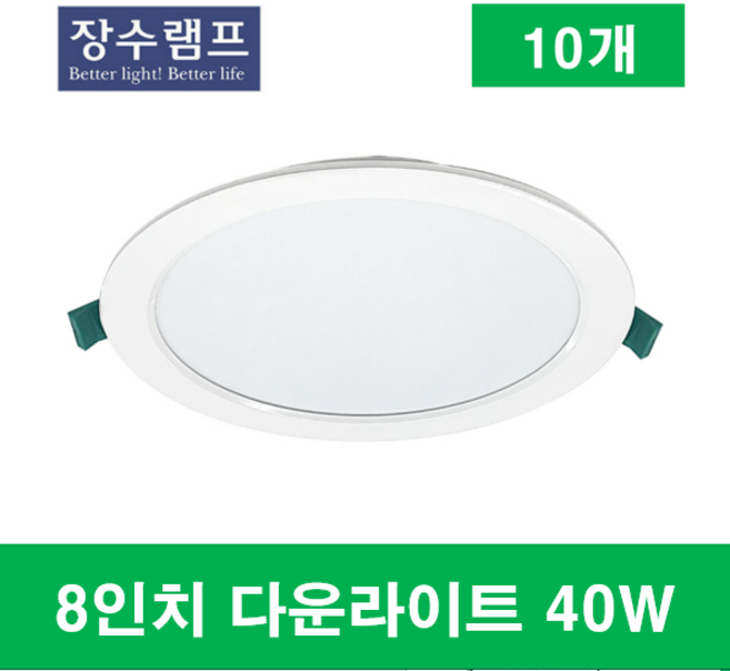 신한이앤엘 8인치 다운라이트 40W, 10개, 주광색