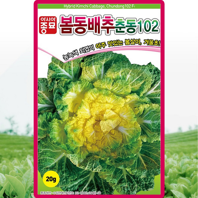아시아종묘 춘동102 봄동배추 씨앗 20g 월동재배 봄동 배추씨 종자, 3개