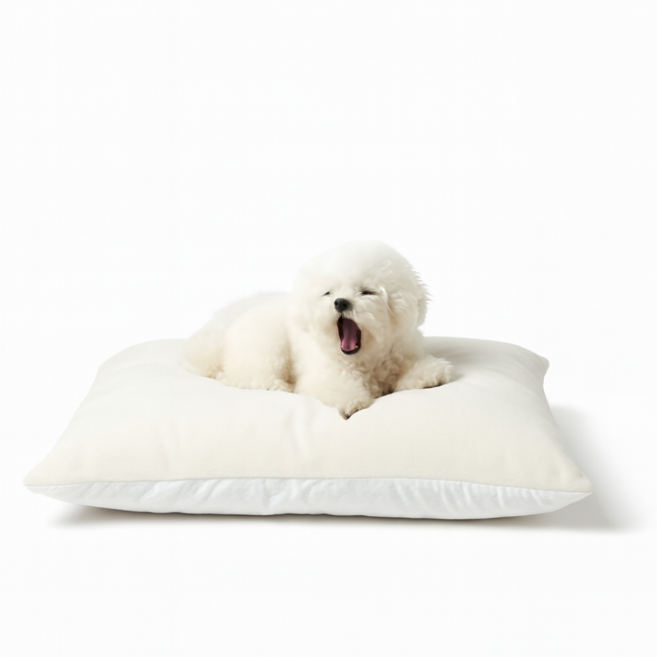 강아지 방석 고양이 반려동물 극세사 쿠션 쇼파 커버분리 통세탁 솜포함, 1개, 바닐라