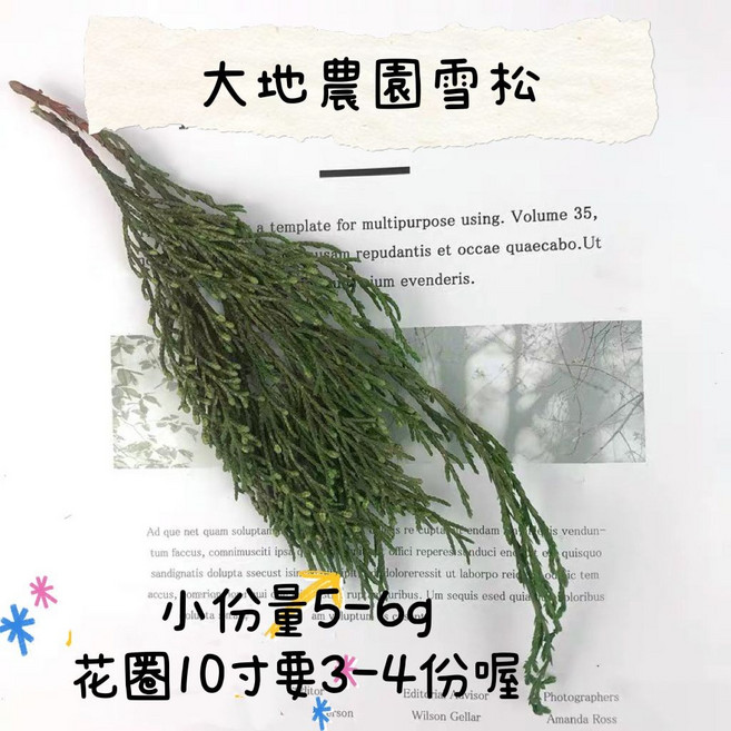 大地農園 雪松, 1個, 小份大地雪松5g