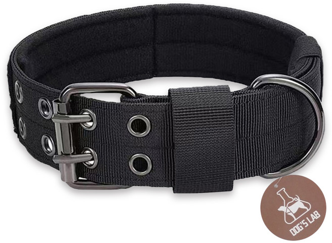 독스랩 중형견 대형견 컴포트 목줄, 블랙, 1개