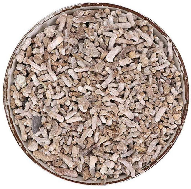 동인당 백정향, 2개, 500g