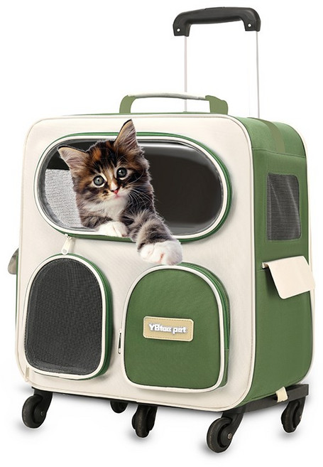 4륜 반려견 캐리어 접이식 고양이 강아지 이동가방 이동장 반려동물 캐리어형 백팩 고양이 강아지 겸용 여행 가방, 1개, 그린