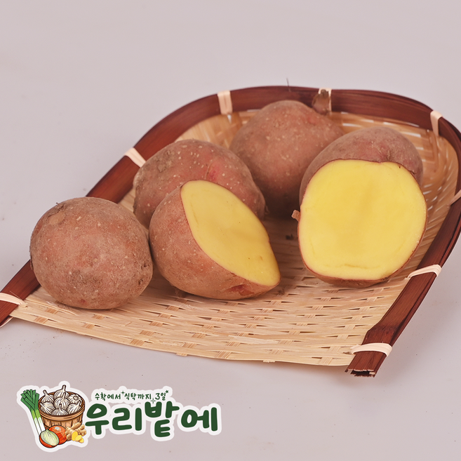 홍감자 충남 서산 황토밭 씨감자 종자감자 산지직송 텃밭 주말농장 감자종자 가을재배 봄재배, 1박스, 1kg
