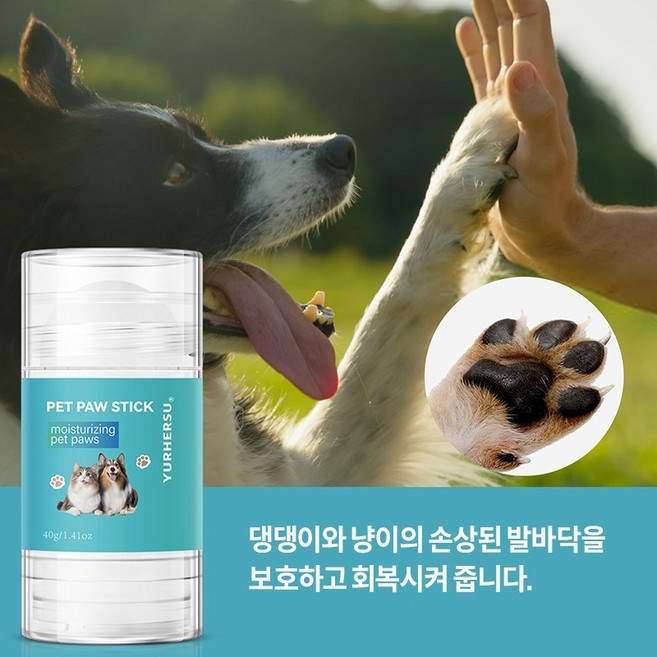 [신속 유효] 반려동용 저자극 발바닥 보습 크림 PP009, 1개, 40g