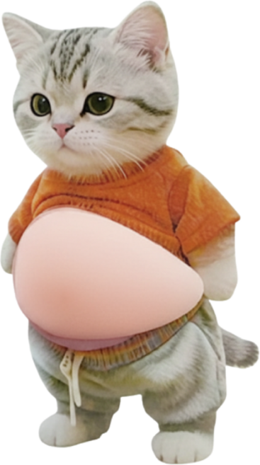 시바견 고양이 스티커 문콕 충돌방지 자파믹스 말랑이 장난감, 뱃살고양이, 2개