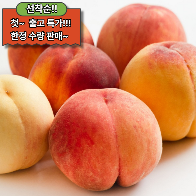 5위 - [단독특가] 프리미엄 납작복숭아 대극천 복숭아, 1박스, 0.5kg