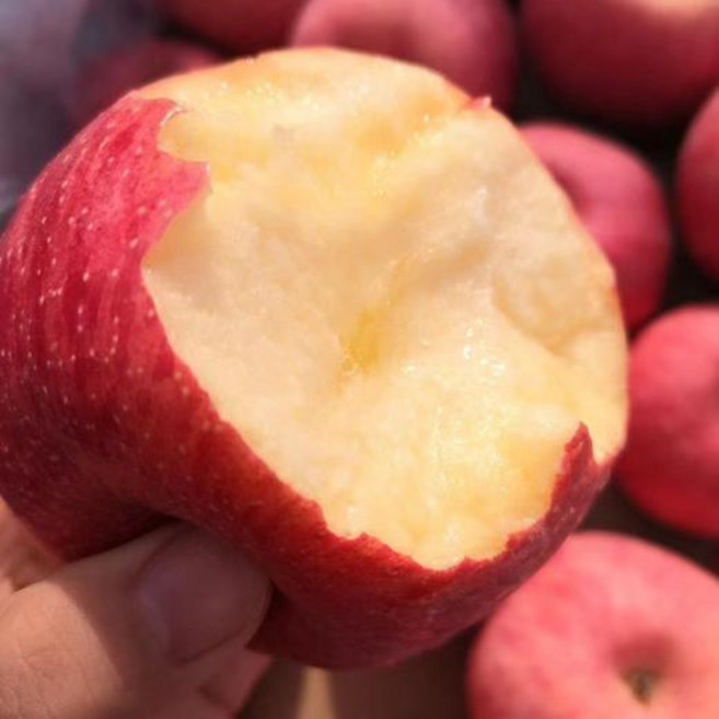 [신선한딜]농부님인정 꿀달콤단단 아삭아작 못난이 부사사과, 1박스, 3kg