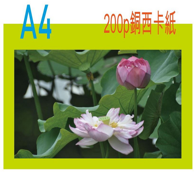 200磅銅西卡紙 A4-100張, 1個, A4