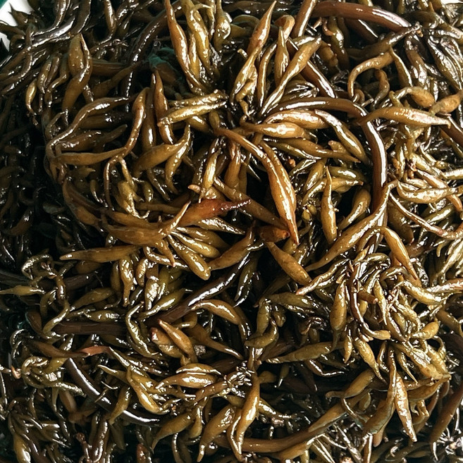 오씨엔수산 완도산 염장 톳, 5kg, 1개