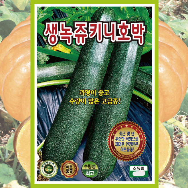 쥬키니씨앗 생녹쥬키니 60립 쥬키니종자, 1개