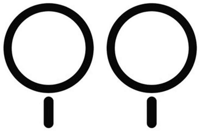 로랜텍 갤럭시 아이폰 메탈 멕세이프 플레이트 링, 블랙, 2개