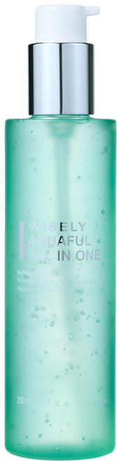 와이즐리 아쿠아풀 올인원 포맨, 1개, 200ml