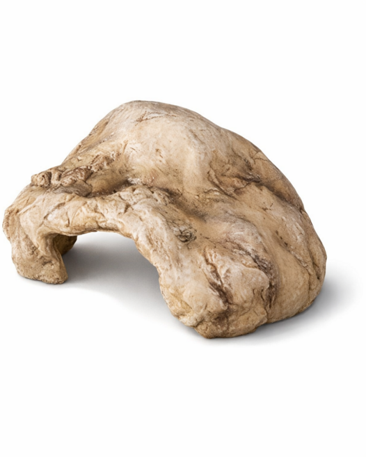 렙티주 파충류 동굴은신처, 혼합, 1개, 소 사이즈