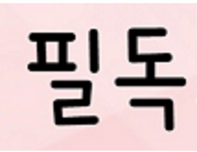 습식청소기 비셀 프로페셔널 1558S 패브릭소파 매트리스 침구청소 강력한파워 3일대여, 원하시는날짜 문의내역입력