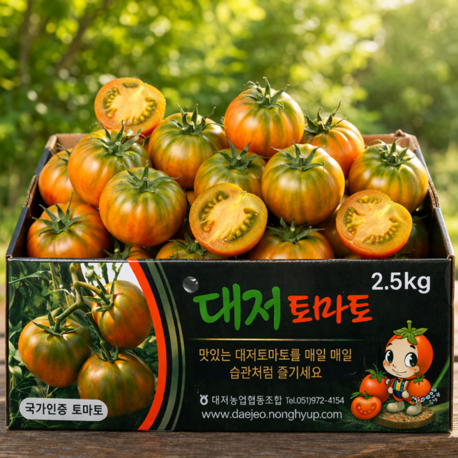 [2주특가] 초고당도 짭짤이 대저토마토, 1박스, 2.5kg (L)