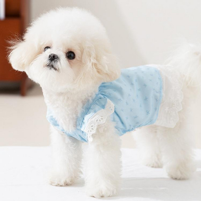 Coablu 강아지 고양이 플라워 리본 민소매 원피스 봄여름 얇은 통기성, 1개, 파란색