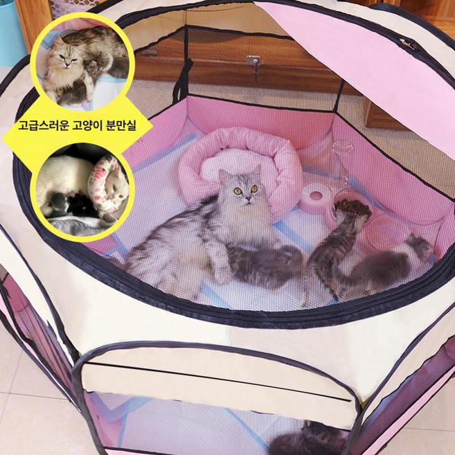 고양이 출산 박스 접이식 분만실, XL, 1개, 핑크