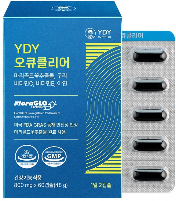 YDY 오큐클리어 고약사 약들약 루테인 피크노제놀 빌베리 60캡슐 2개, 60정 - 쿠팡
