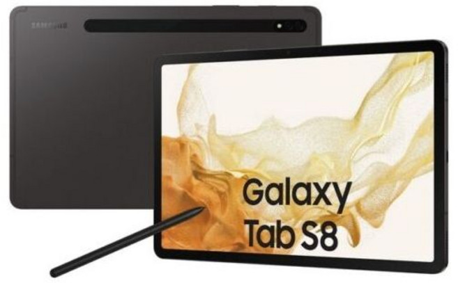 삼성전자 갤럭시탭 S8 SM-X700, S8+S펜, 128GB, Wi-Fi+Cellular