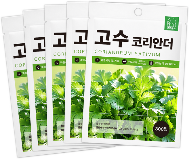 [주주씨앗] 고수 씨앗 300립 인기허브 코리안더 향채 종자 허브 키우기 씨앗몰, 5개