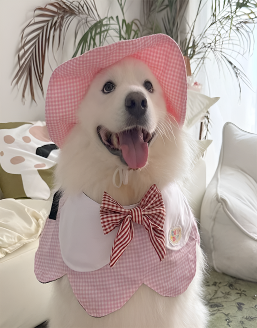 [노아르] 강아지 체크 모자 망토 세트 귀여운 반려견 여름 외출복 케이프 스카프 코스튬 소형견 대형견, 1개, 핑크