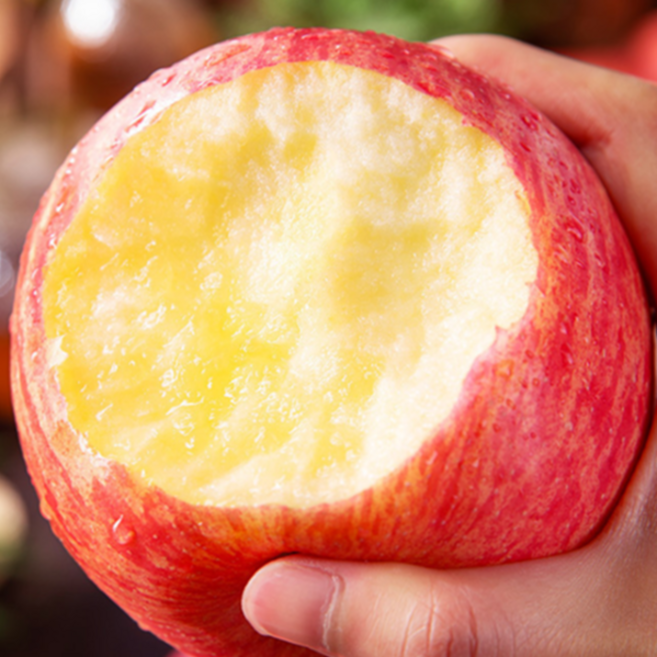 품질100%보장 실속A급선별 아삭상큼달콤 꿀brix 가정용부사사과, 1개, 중소과 2kg (8~12개)