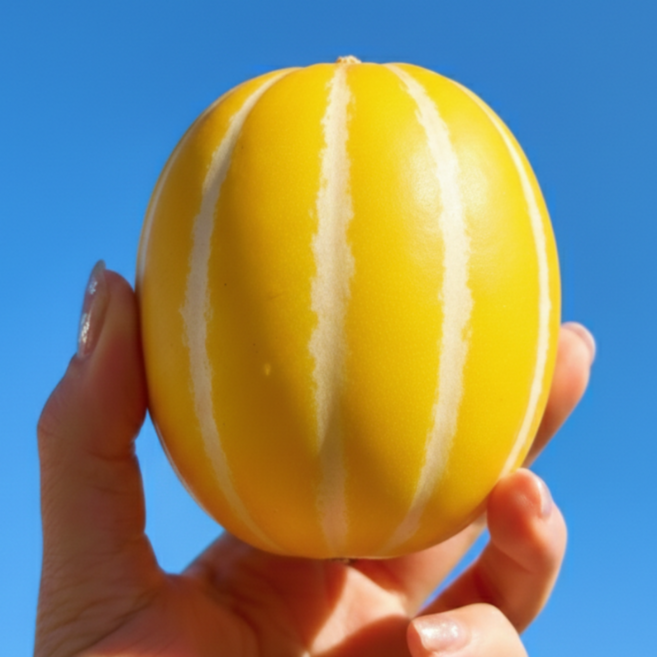 초특가 프리미엄 꿀 성주 참외, 1개, 3kg 랜덤과