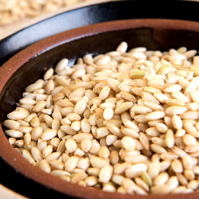 2025년 햇 찰현미 홍천 구수한 누룽지맛이 나는 찰현미 불리지 않아도 되는 찰현미, 500g, 2개