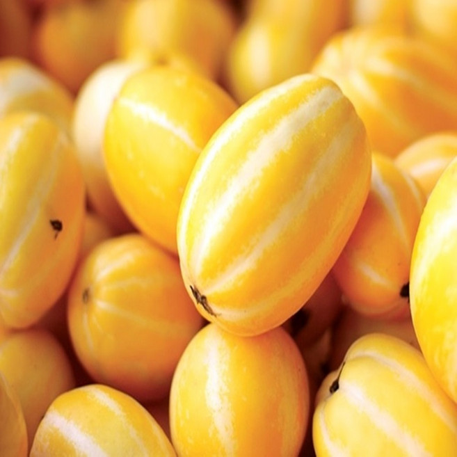 성주 참외 가정용 2.5kg 5kg 10kg (등급 - 상), 1박스, [14]가정용 참외 10kg / 특대과