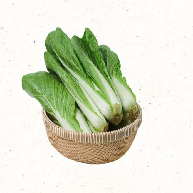 친환경 얼갈이 단배추 아삭한 겉절이용 배추 제철채소, 2kg, 1개