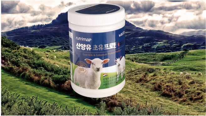 산양유초유프로틴 560g (280gx2병) 초유단백질, 2개, 280g