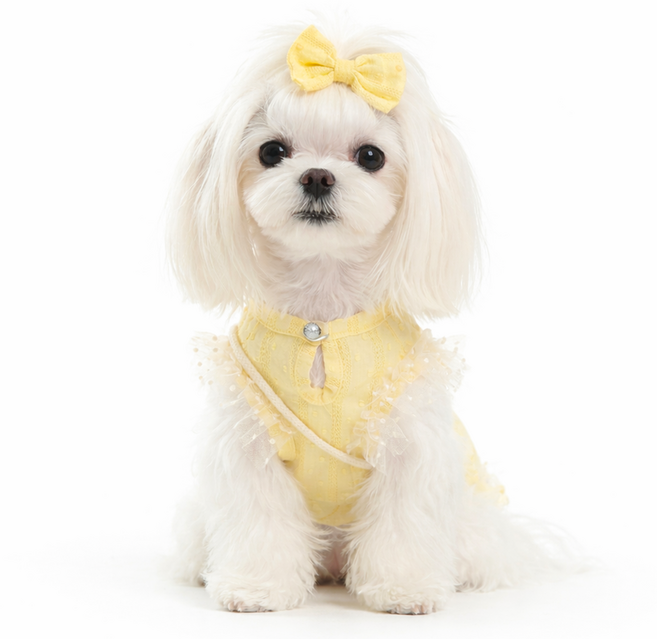 렛츠독 강아지 레이스 리본 가방 순면 엘리스 티셔츠 봄옷 세트, 1개, 엘리스옐로우세트