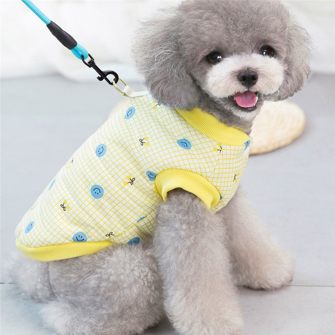 강아지 겨울 아우터 소형견 경량 방한복 중형견 애견패딩 외출복 겨울옷