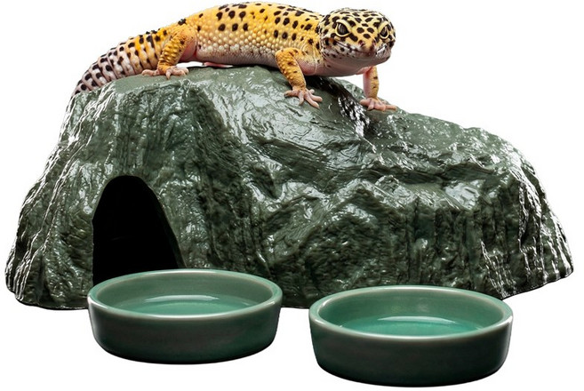 게코 도마뱀사육장 은신처 습식 집 크레스티드게코사육장 세트, 동굴먹이그릇은신처, 1개