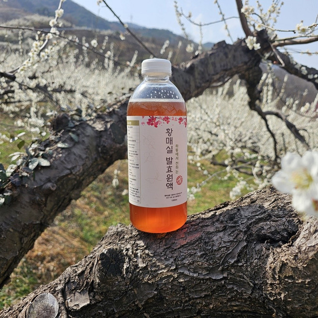 경남 하동 지리산 황매실청 매실원액, 1개, 1L