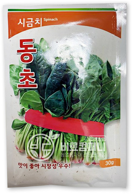 시금치씨앗30g (동초) - 텃밭 주말농장 섬초 포항초 시금치 씨앗 야채 채소 씨앗 모종, 03. 동초 시금치씨앗30g(1봉), 1개