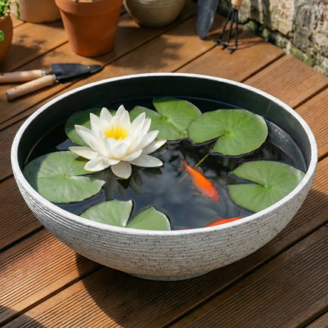 블링박스 가벼운 연꽃 금붕어 수반 어항 원형, 화이트